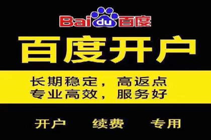竞价代运营策略调整：一则电商行业的成功故事